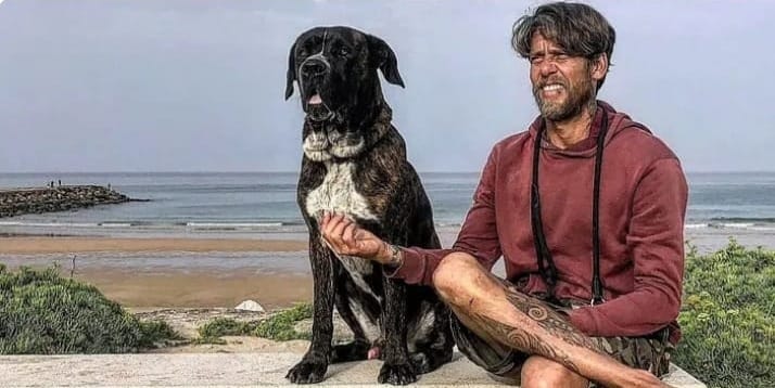 Brasileiro abre vaquinha para conseguir deixar Portugal com seu melhor amigo, o cão Zeus