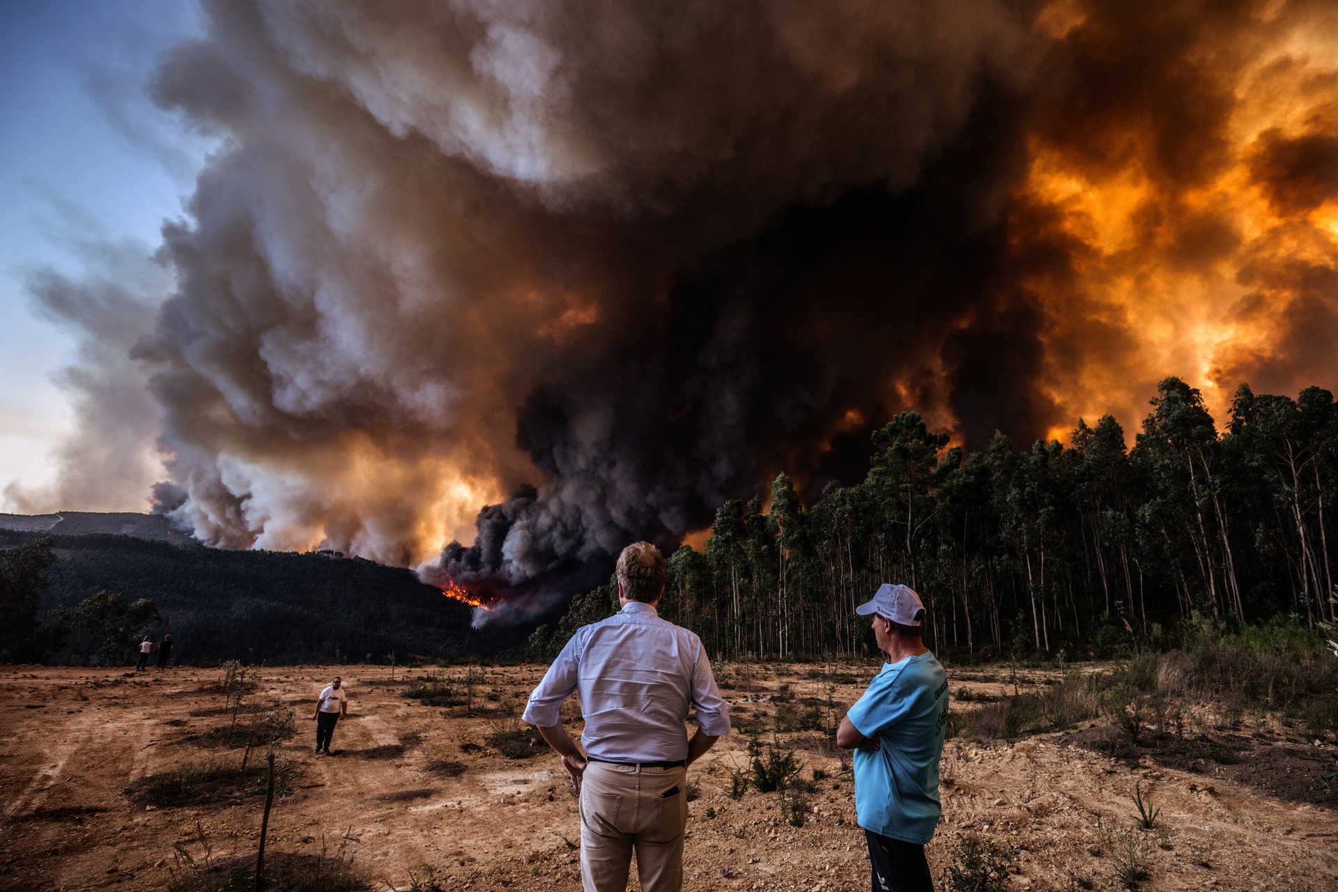 Incêndios: Governo brasileiro lamenta morte de jovem e disponibiliza contato para apoio