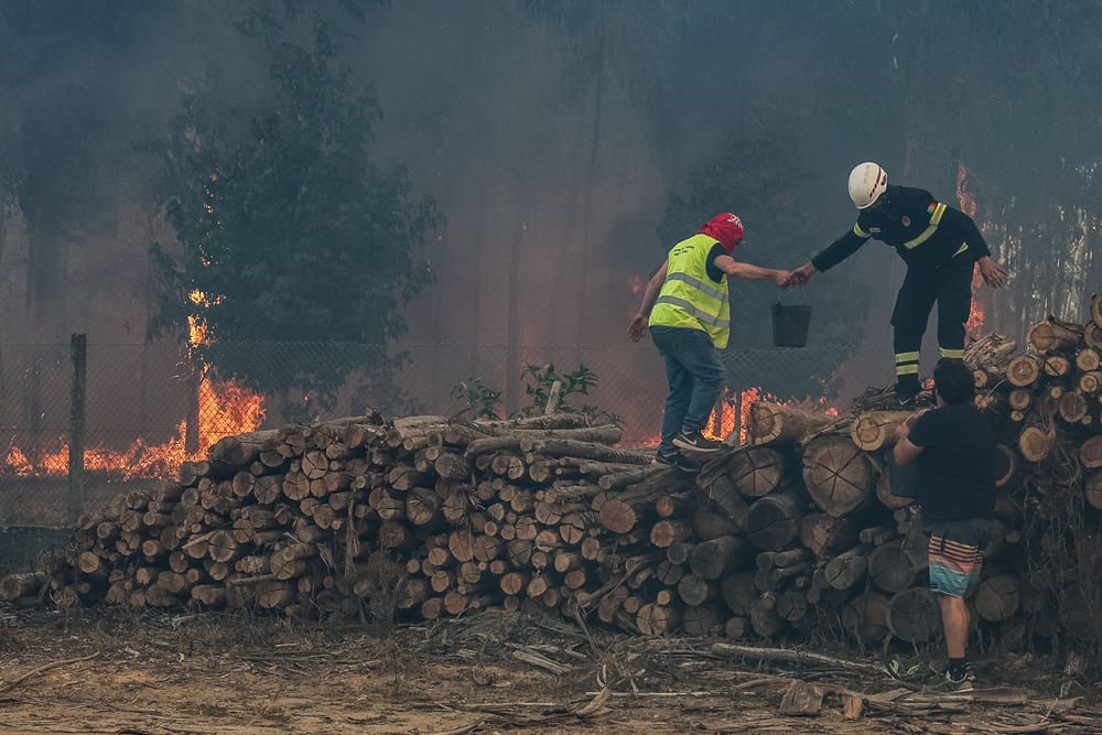 Brasileiro morre durante incêndio em Aveiro imagem do post