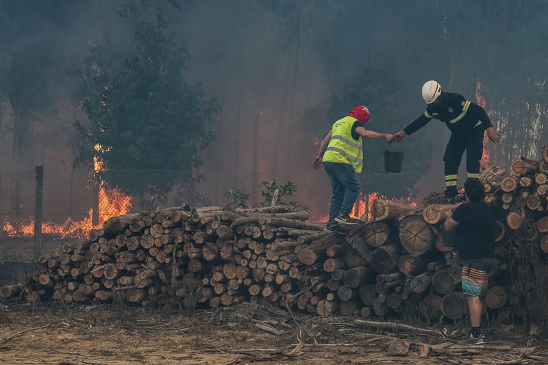 Brasileiro morre durante incêndio em Aveiro imagem do post